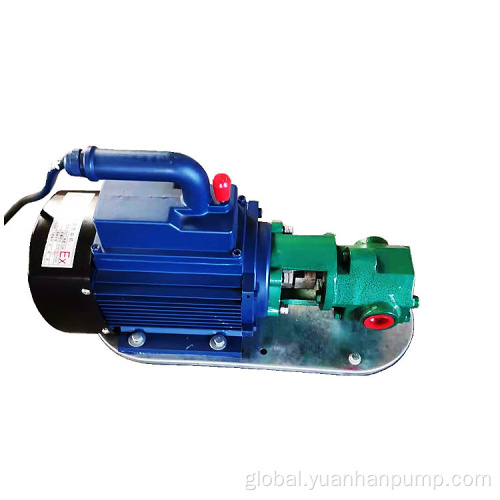 Oil Gear Pump Mini Portable hydraulic lubricating oil gear pump 220V electric pumps oil pump Factory
